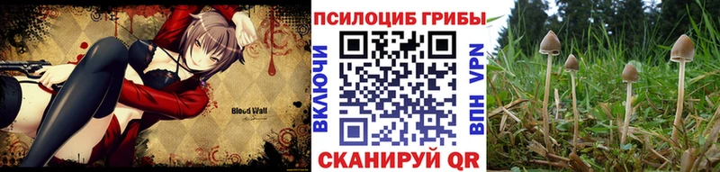 Галлюциногенные грибы мухоморы  Данилов 